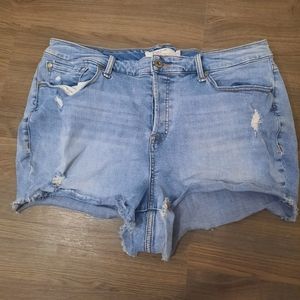 Torrid Jean Shorts